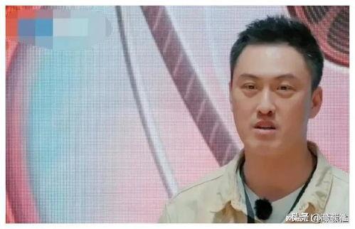 娱乐圈吃瓜爆料陈晓微博